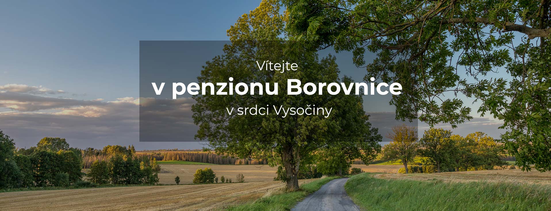 title_6935ec8d47e4121009924121765141645