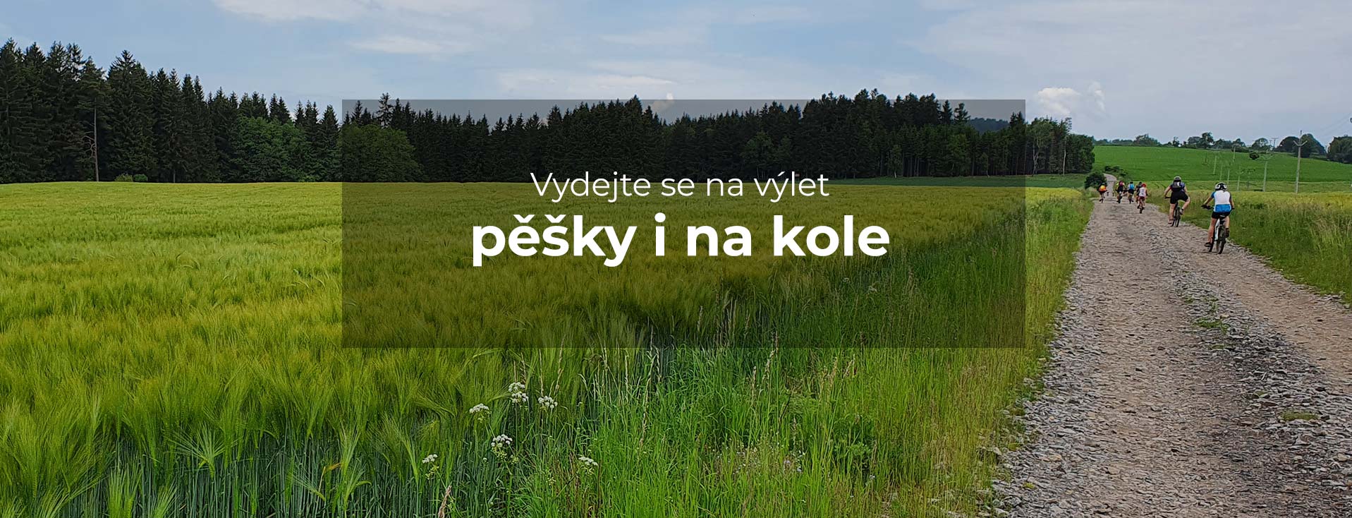 title_6935ec8d47e4f12882900071765141645